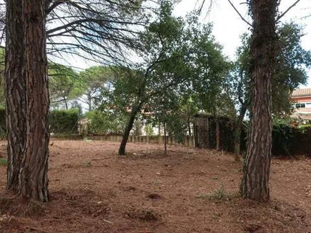 Terreno en venta en la Selva, Catalunya