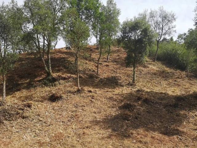 Terreno en venta en la Selva, Catalunya