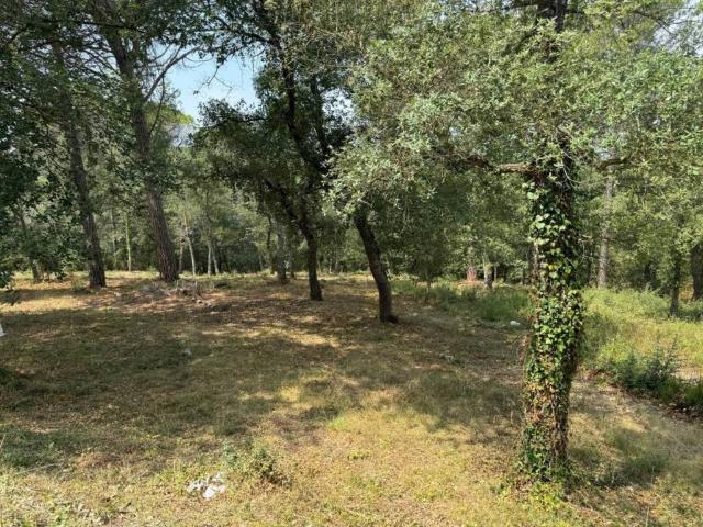 Terreno en venta en la Selva, Catalunya