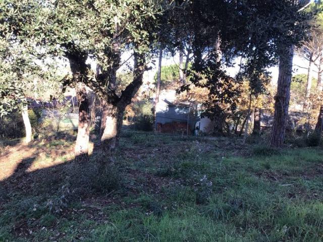 Terreno en venta en la Selva, Catalunya