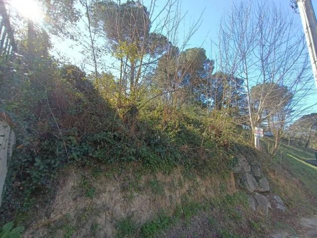Terreno en venta en la Selva, Catalunya