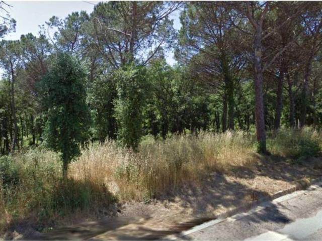 Terreno en venta en la Selva, Catalunya