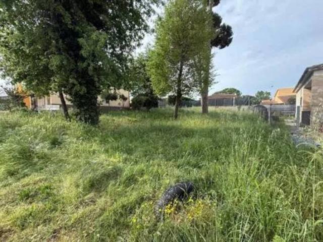 Terreno en venta en la Selva, Catalunya