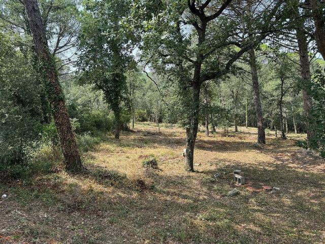 Terreno en venta en la Selva, Catalunya
