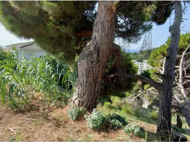 Terreno en venta en Maresme, Catalunya