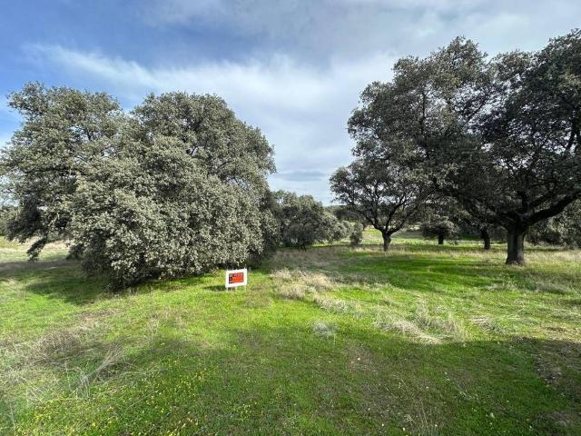 Terreno en venta en Calera Y Chozas, Castilla-La Mancha