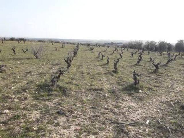 Terreno en venta en Calera Y Chozas, Castilla-La Mancha