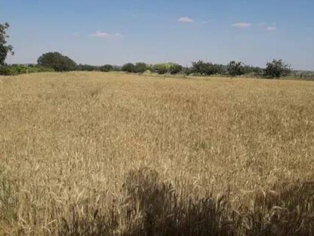 Terreno en venta en Calera Y Chozas, Castilla-La Mancha
