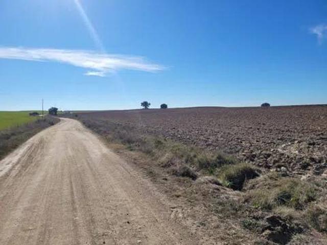 Terreno en venta en Calera Y Chozas, Castilla-La Mancha