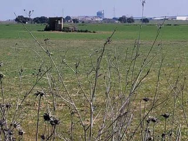 Terreno en venta en Calera Y Chozas, Castilla-La Mancha