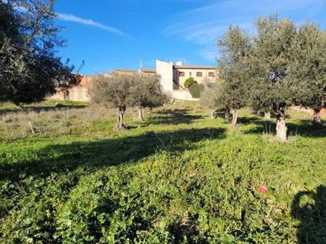 Terreno en venta en Calera Y Chozas, Castilla-La Mancha