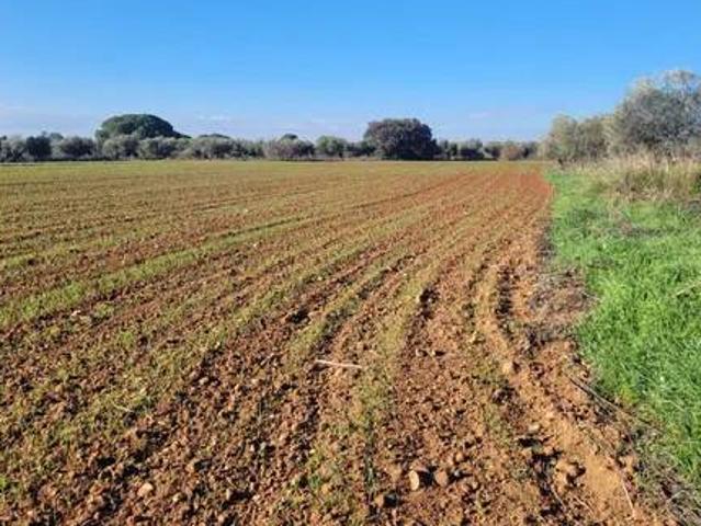Terreno en venta en Calera Y Chozas, Castilla-La Mancha