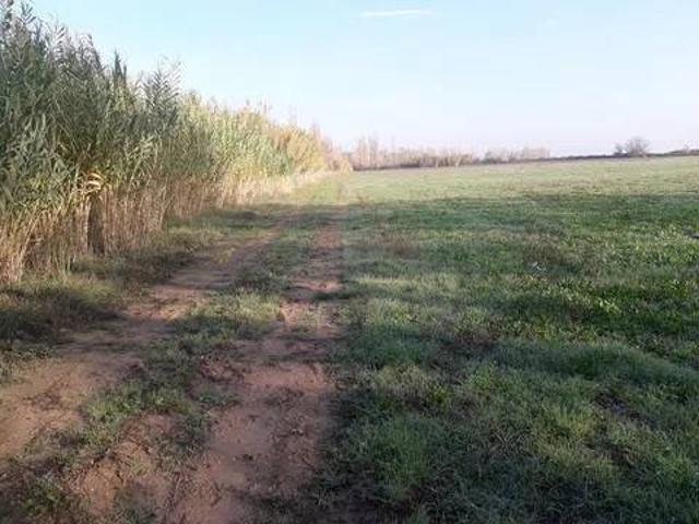 Terreno en venta en Calera Y Chozas, Castilla-La Mancha