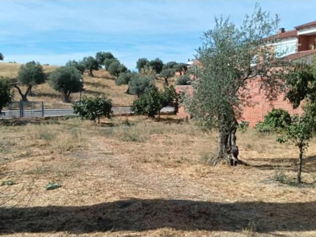 Terreno en venta en Calera Y Chozas, Castilla-La Mancha