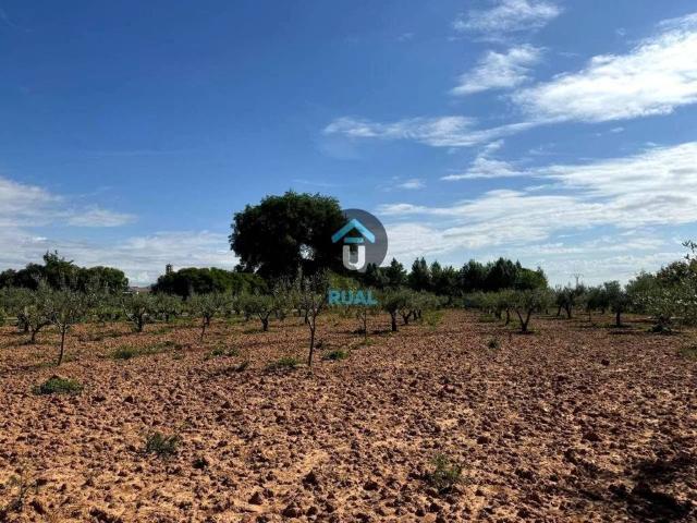 Terreno en venta en Calera Y Chozas, Castilla-La Mancha