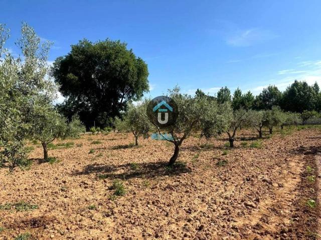 Terreno en venta en Calera Y Chozas, Castilla-La Mancha
