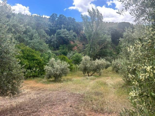 Terreno en venta en Comarca de la Vega de Granada, Andalucía