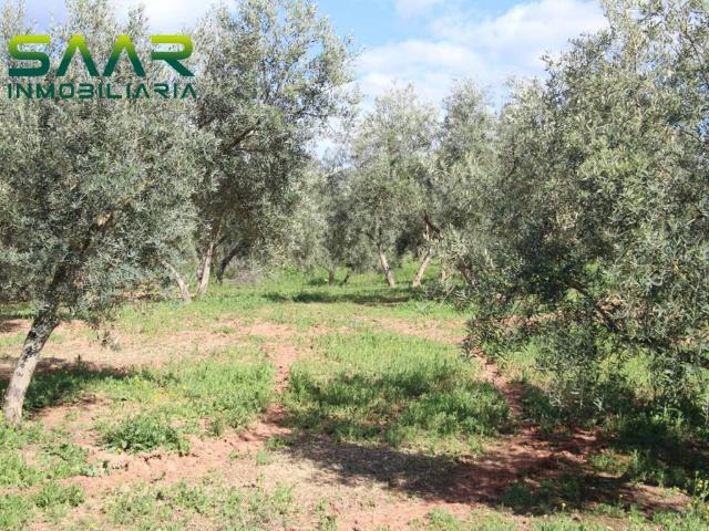 Terreno en venta en Comarca de la Vega de Granada, Andalucía