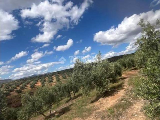 Terreno en venta en Comarca de la Vega de Granada, Andalucía