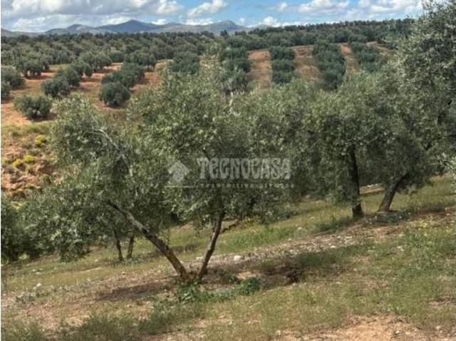 Terreno en venta en Comarca de la Vega de Granada, Andalucía