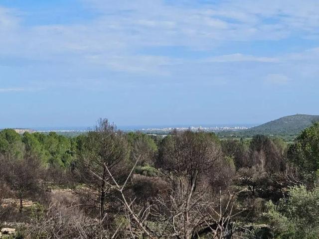 Terreno en venta en Càlig Terreno en venta en Càlig