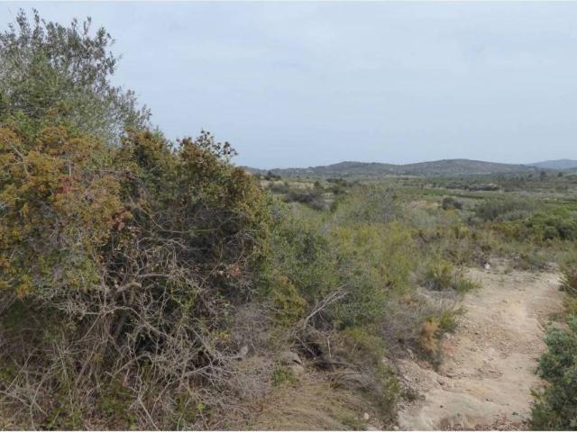 Terreno en venta en Càlig Terreno en venta en Càlig