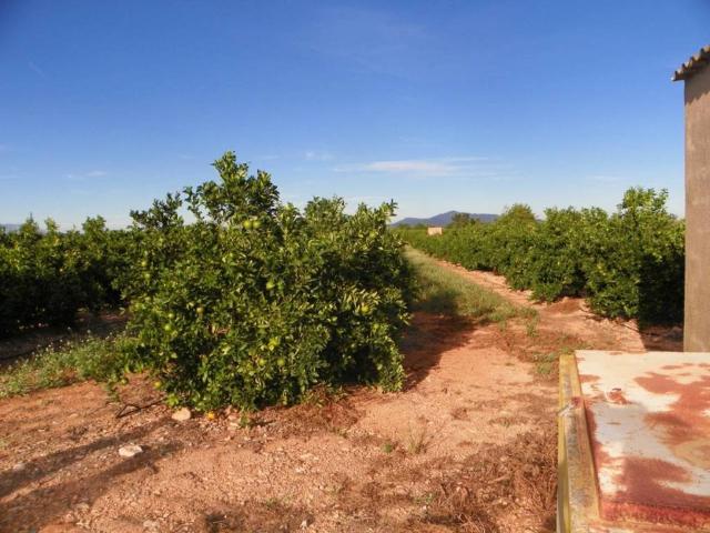 Terreno en venta en Càlig Terreno en venta en Càlig