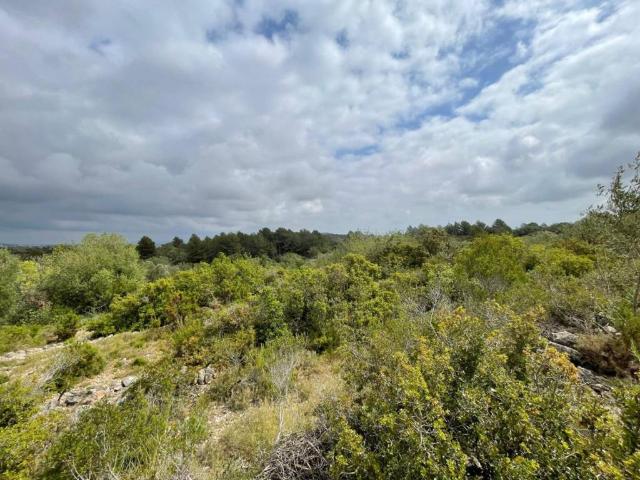 Terreno en venta en el Baix Maestrat, Valencia