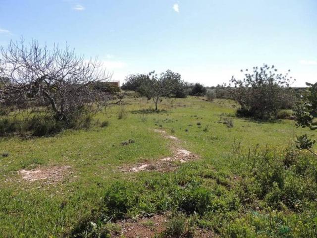 Terreno en venta en el Baix Maestrat, Valencia
