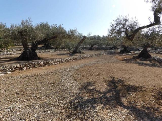 Terreno en venta en Càlig Terreno en venta en Càlig