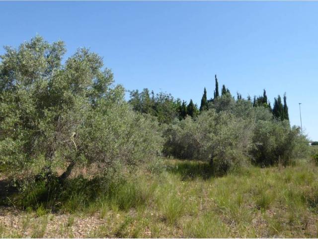 Terreno en venta en el Baix Maestrat, Valencia