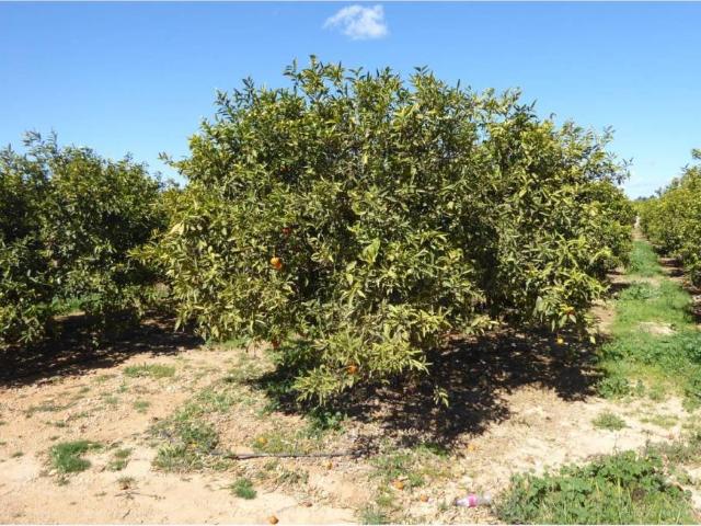 Terreno en venta en Càlig Terreno en venta en Càlig