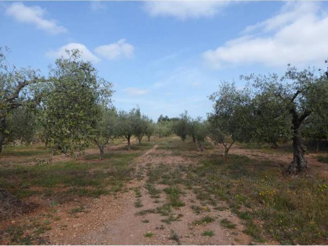 Terreno en venta en Càlig Terreno en venta en Càlig