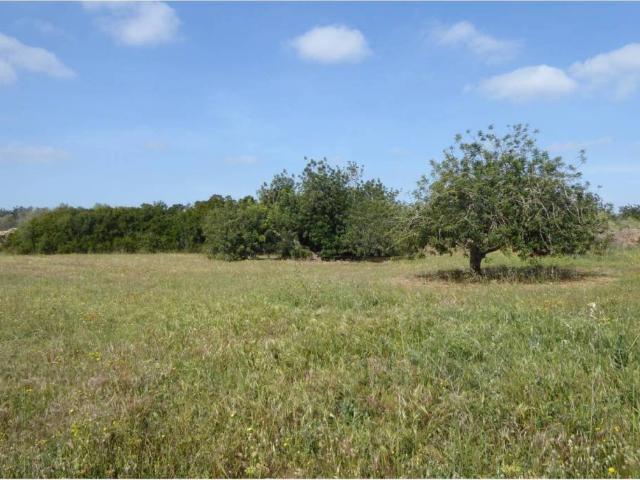Terreno en venta en el Baix Maestrat, Valencia