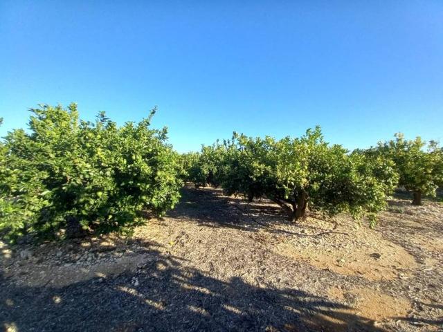 Terreno en venta en el Baix Maestrat, Valencia