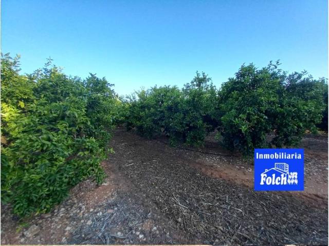 Terreno en venta en Càlig Terreno en venta en Càlig
