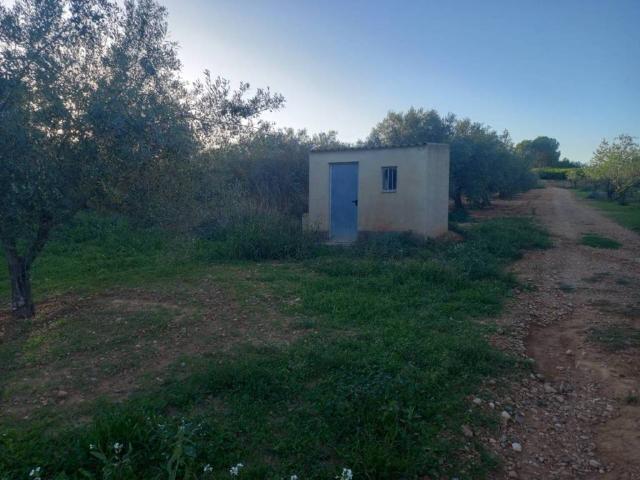 Terreno en venta en el Baix Maestrat, Valencia