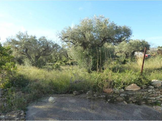 Terreno en venta en Càlig Terreno en venta en Càlig