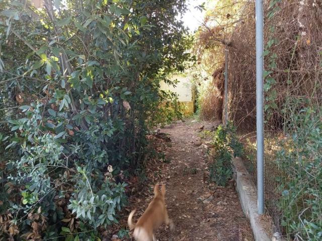 Terreno en venta en el Baix Maestrat, Valencia