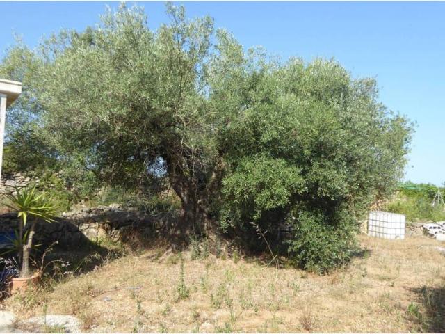 Terreno en venta en Càlig Terreno en venta en Càlig
