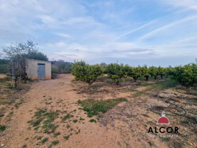 Terreno en venta en Càlig Terreno en venta en Càlig