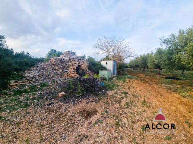 Terreno en venta en Càlig Terreno en venta en Càlig