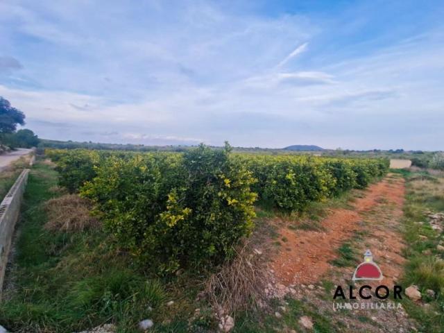 Terreno en venta en Càlig Terreno en venta en Càlig