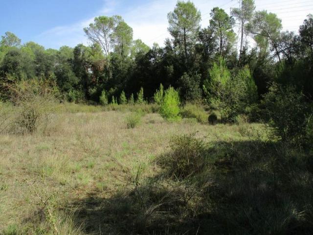 Terreno en venta en Alt Empordà, Catalunya