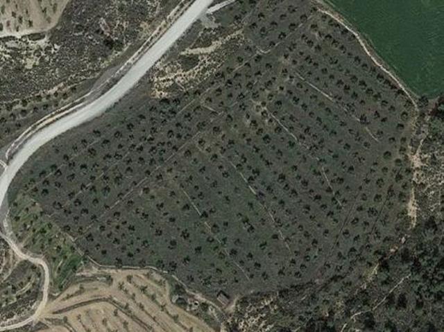 Terreno en venta en Garrigues, Catalunya