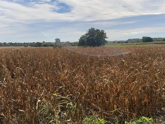 Terreno en venta en Vallfogona De Balaguer, l'Hostal Nou i la Codosa