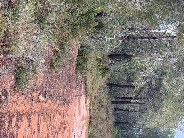 Terreno en venta en Alt Camp, Catalunya