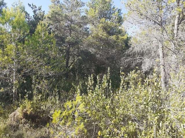 Terreno en venta en Alt Camp, Catalunya
