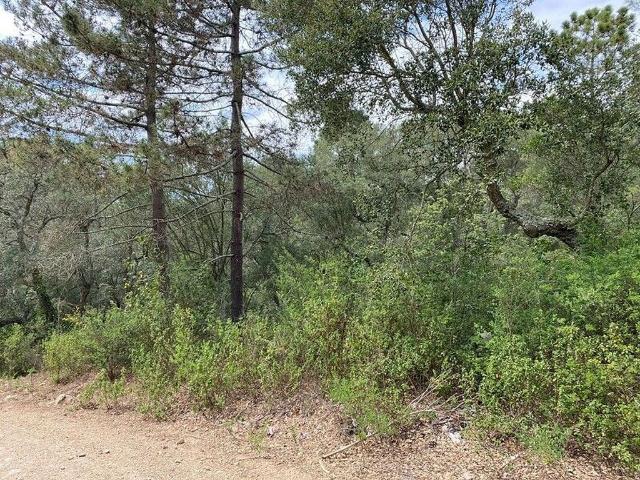 Terreno en venta en Baix Empordà, Catalunya