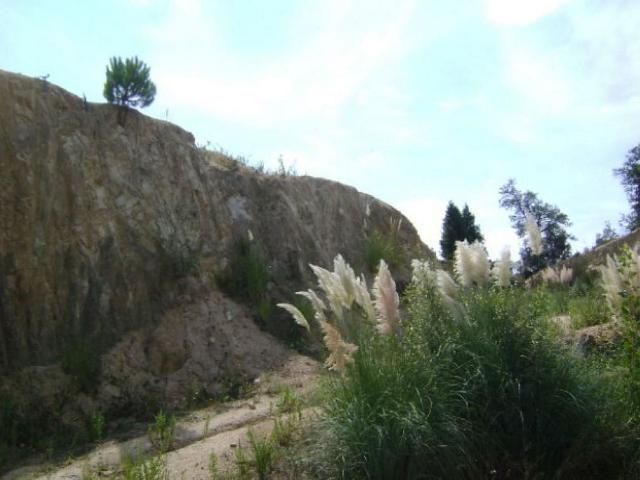 Terreno en venta en la Selva, Catalunya